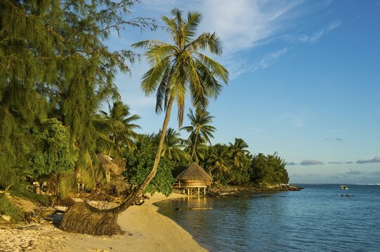 Matira Point beach in evening light, Bora Bora, French Polynesia