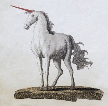 Unicorn, hand-coloured copperplate engraving from Friedrich Justin Bertuch's picture book for children, Vienna 1801