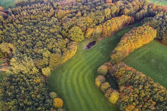 Golf course near Vechta in autumn, Gr&uuml;nenmoor, forest in autumn in the Moorbach valley near Vechta, colouring, aerial view, forest, autumnal, Lower Saxony, Vechta, Germany