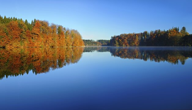 Silent lake in autumn, colourful deciduous forest reflected, Langb&uuml;rgner See, Eggst&auml;tter Seenplatte, Bavaria, Germany