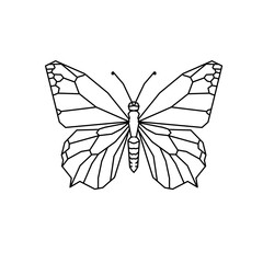 butterfly vector illustration, tatto simple © Anas Anwar Alfarisy
