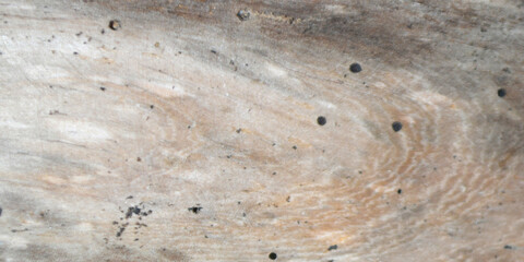 Fototapeta premium background with wood texture, modern, visual, effect and grunge concept