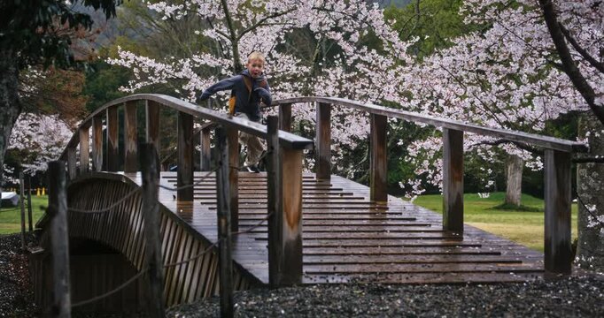 Little boy running across wet, wooden bridge in Japanese park with spring cherry blossoms - slow motion shot