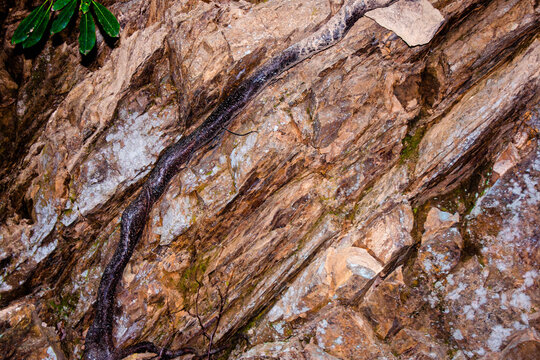 rock texture