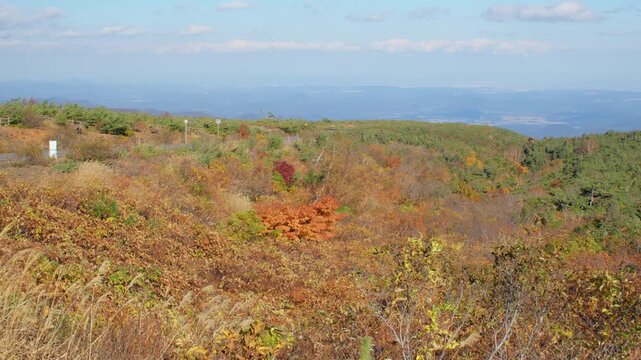 みやぎ蔵王三十六景 駒草平 Miyagi Zao Thirty-Six Views: Komakusa-daira