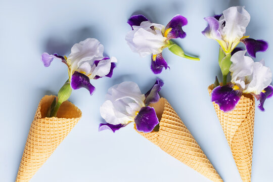 Empty waffle ice cream cone and iris flowers on a blue background. Top view. Summer concept
