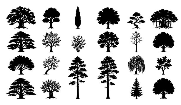 Hand Drawn Tree Silhouettes Bundle with Natural Organic Shapes Vector Illustration