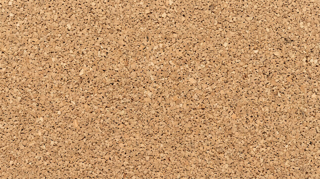 Seamless natural cork board texture background with granular wood material for office bulletin board and creative design projects