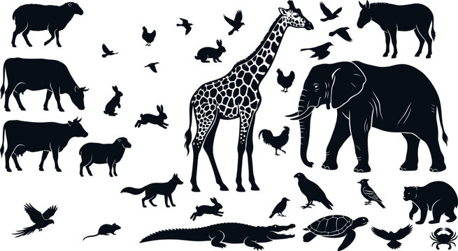 Animal Silhouettes Collection Black Vector Illustration On White Background