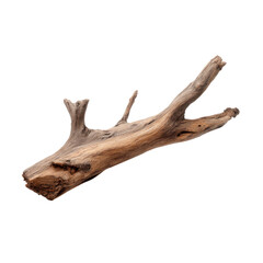Fototapeta premium Weathered wooden branch with textured grain and multiple forks on black driftwood natural, Isolated, Png Transparent Background