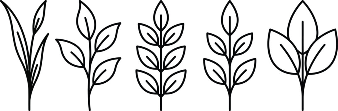 leaf vector pack minimalist plant stems for logo and print