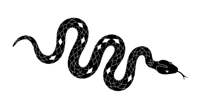 Black snake silhouette coiled and slithering across a white background in stark contrast.