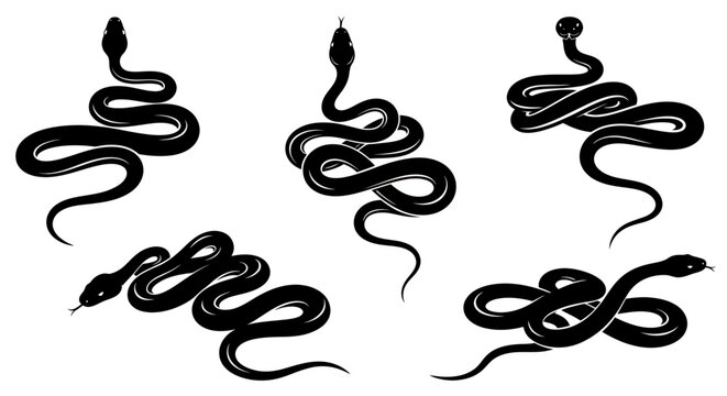Group of stylized black snakes in coiled abstract silhouette for decorative graphic design.