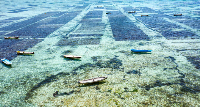 Aerial view shot of Nusa lembongan seaweed farming in Bali, Indonesia	 background