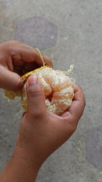 Kids Hands Peeling Fresh Skin Off an Organic Sweet Mandarin Citrus