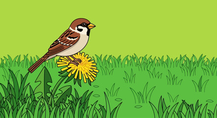 Cartoon sparrow perched on a yellow dandelion flower in lush green grass, vector illustration © Marakawulo
