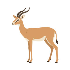 Obraz premium Wild Gazelle Antelope Mammal Animal Illustration