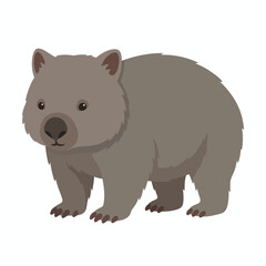 Fototapeta premium Wombat Wildlife Mammal Animal Illustration