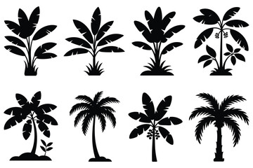Fototapeta premium Tropical palm and banana tree silhouettes on a white background