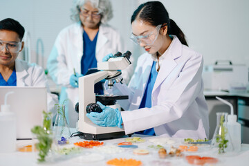 Fototapeta premium Professional scientists performing laboratory research with microscopes, biotechnology testing, medical innovation and healthcare science in a modern lab.