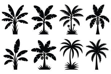 Obraz premium Collection Of Tropical Palm Tree Silhouettes On White Background Silhouette