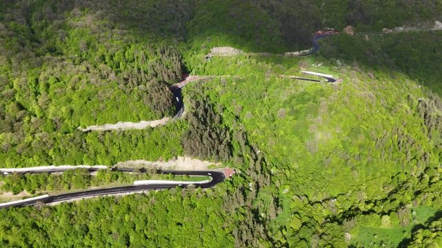 Top down aerial drone view of winding mountain highway through dense green forest with cars 4K.