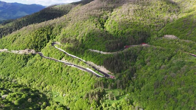 Top down aerial drone view of winding mountain highway through dense green forest with cars 4K.