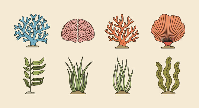 Ocean life and brain graphic elements set, flat design style on beige background