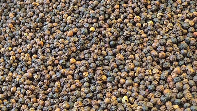 Black pepper, the "King of Spices," contains piperine, which boosts nutrient absorption and offers potent antioxidant effects. It aids digestion, promotes gut health, and may reduce inflammation.