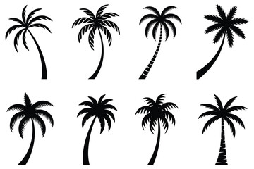 Fototapeta premium Collection Of Palm Tree Silhouettes In Black And White Tropical Scene Silhouette
