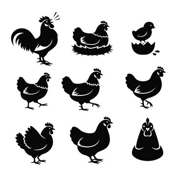 Black silhouettes of various chickens and a rooster