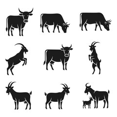 Fototapeta premium Collection of black silhouettes of various cattle and goats in different poses