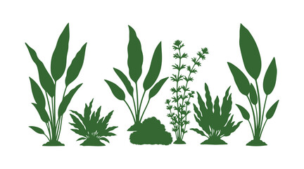 Fototapeta premium Colorful aquarium plant bundle with adorable vector artwork.