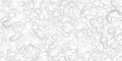 Gray topographic map lines on white background  abstract geographic illustration © MD.HUZZATULLAHISLAM