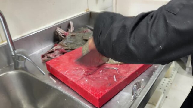 Professional chef cleaning and preparing fresh flatfish in a restaurant kitchen