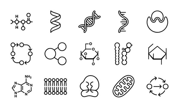 Biochemistry Icons, Molecular Structures, DNA, Cells, Biology Science Vector Set