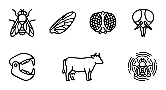 Insect Icons: Fly, Wing, Head, Cow, Jaw, Science Vector Graphics Set