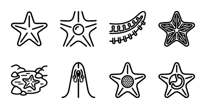 Starfish Icons, Marine Life Vector Graphics, Ocean Sea Creatures, Nautical Design Elements