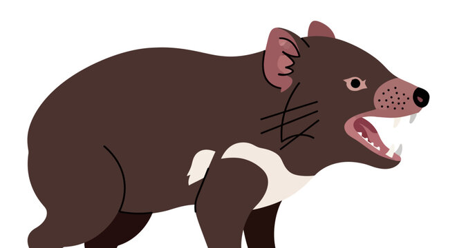 Tasmanian Devil Illustration - Aggressive Pose, White Background