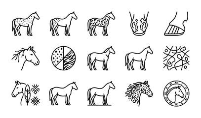 Horse Icons Set, Equine Vector Graphics, Animal Silhouettes, Farm and Stable Elements © Rajib