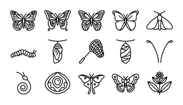 Butterfly Life Cycle Icons, Insect Vector Set, Moth Stages, Nature Elements, Entomology Graphics