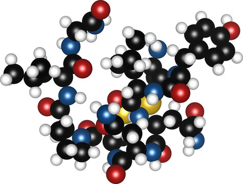 Scientifi 3D Structure Model of Oxytocin Molecule as the Love Hormone and Bonding Chemical, High-Resolution Scientific Visualization of Atomic Spheres, isolated on transparent background. Atoms, DFT