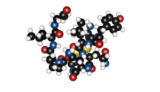 Scientific 3D Rendered Ball Model of Oxytocin Molecule, the Love Hormone and Bonding Neurotransmitter, Isolated on White Background for Chemical and Medical Research. Atoms, Molecular Simulation, DFT
