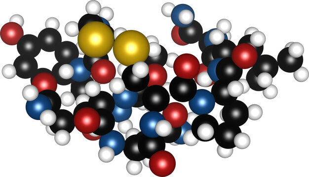 3D Molecular Model of Oxytocin Hormone Peptide Structure, Space-Filling CPK Atom as the Love and Bonding Chemical Molecule, isolated on transparent background for Scientific Design, DFT Simulation