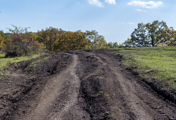 Fototapeta premium dirt roads and a network of paths in the natural environment of a mountain forest in the early autumn morning