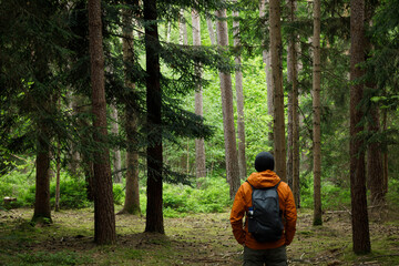 Obraz premium Man hiking in the Forest. Travel, tourism, adventure and healthy active lifestyle in nature