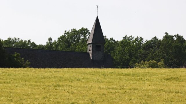 Rural church bell tower in a field of wheat