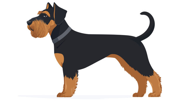 A black and tan schnauzer standing in profile with a beard and curly tail, bold
