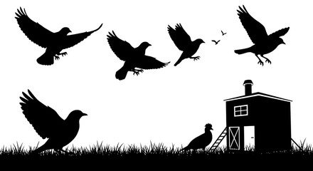 Obraz premium Silhouette Flock of Birds Flying Over Grass and Coop, Freedom Concept