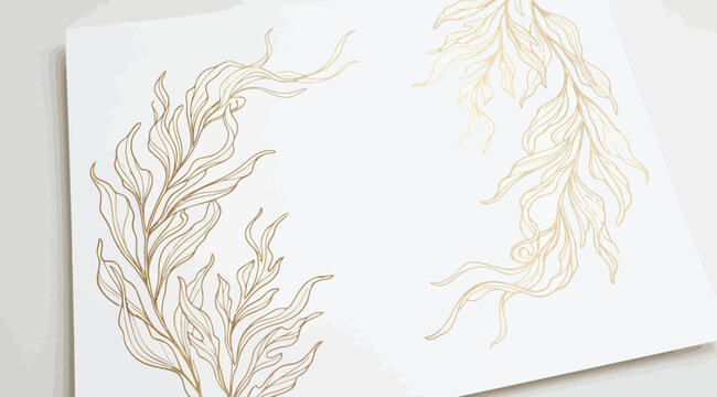 Elegant handdrawn botanical seaweed or kelp illustrations
